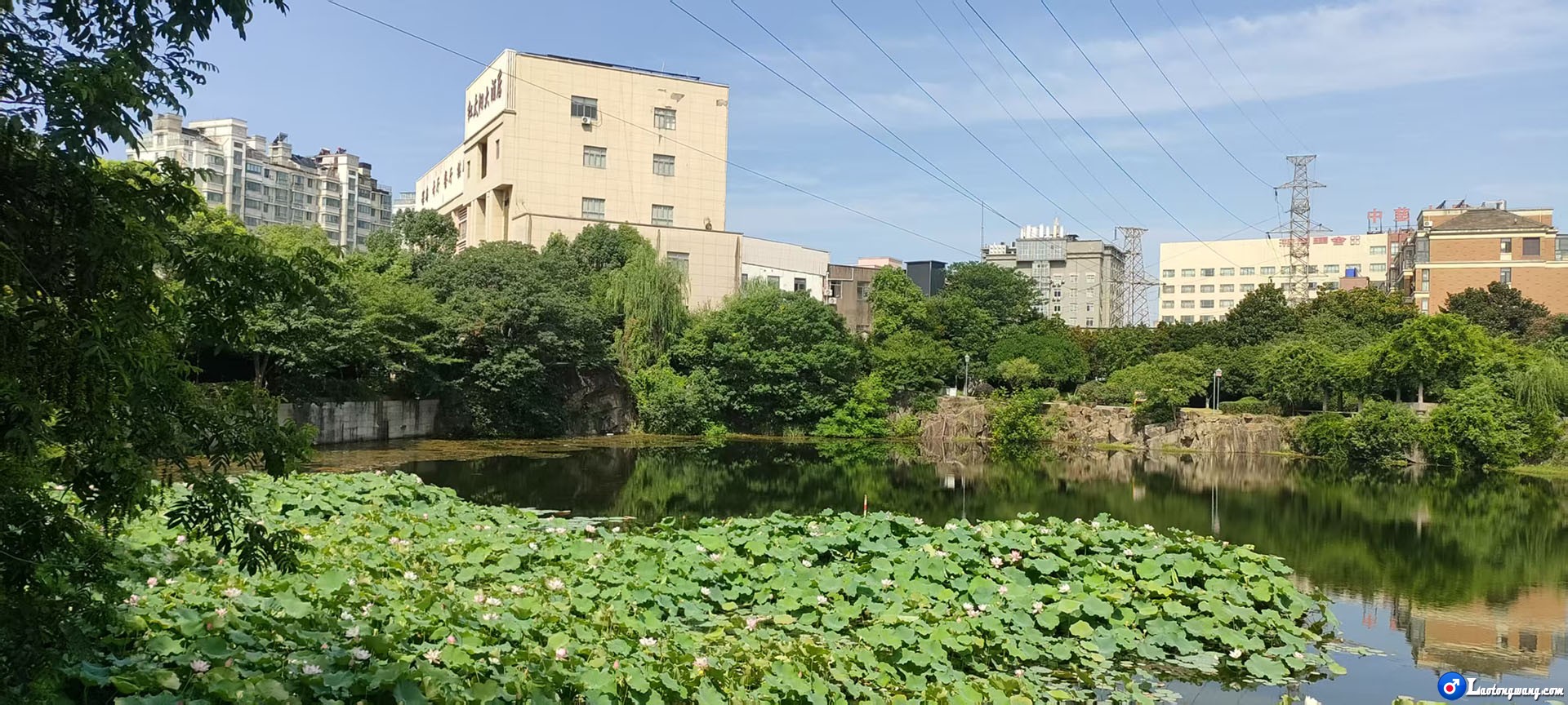 微信图片_20250803224017_219.jpg
