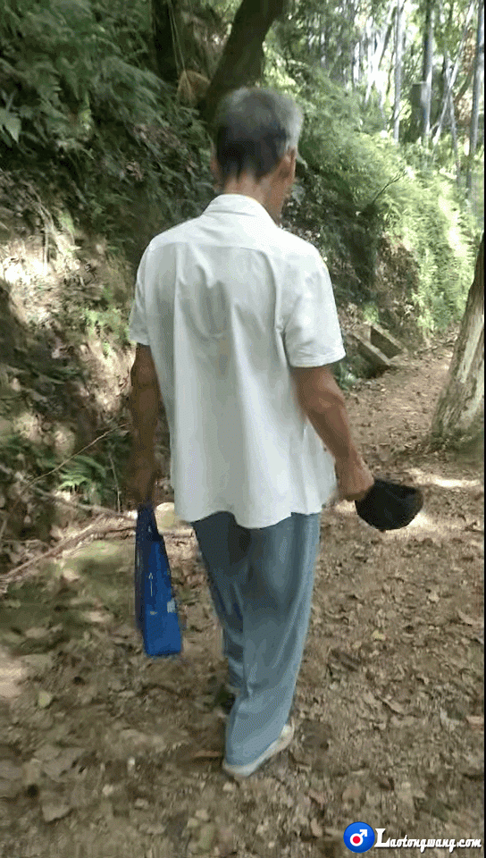 包皮老头.gif