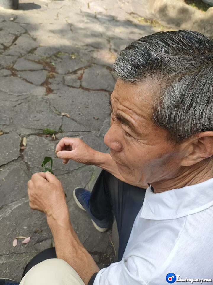 微信图片_20260527195032_361_14.jpg