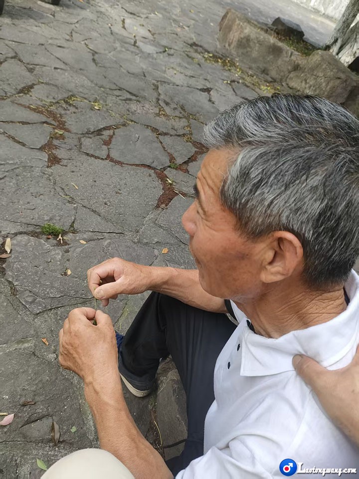 微信图片_20260527195028_359_14.jpg