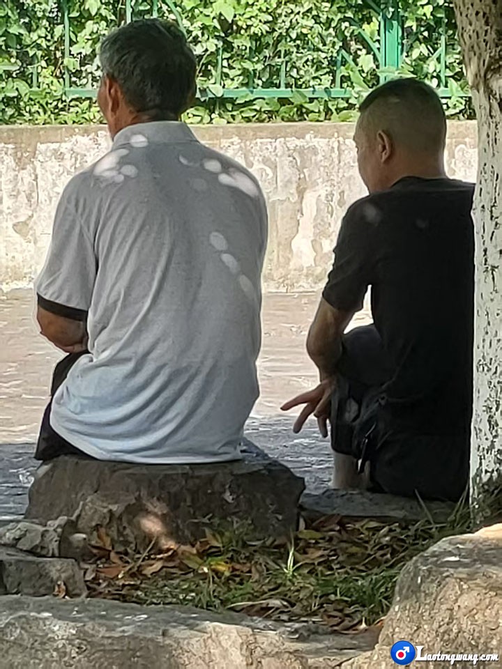 微信图片_20260527195039_364_14.jpg