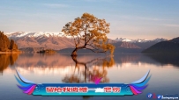 《我在红尘里苦苦守望》垚钦 - MV